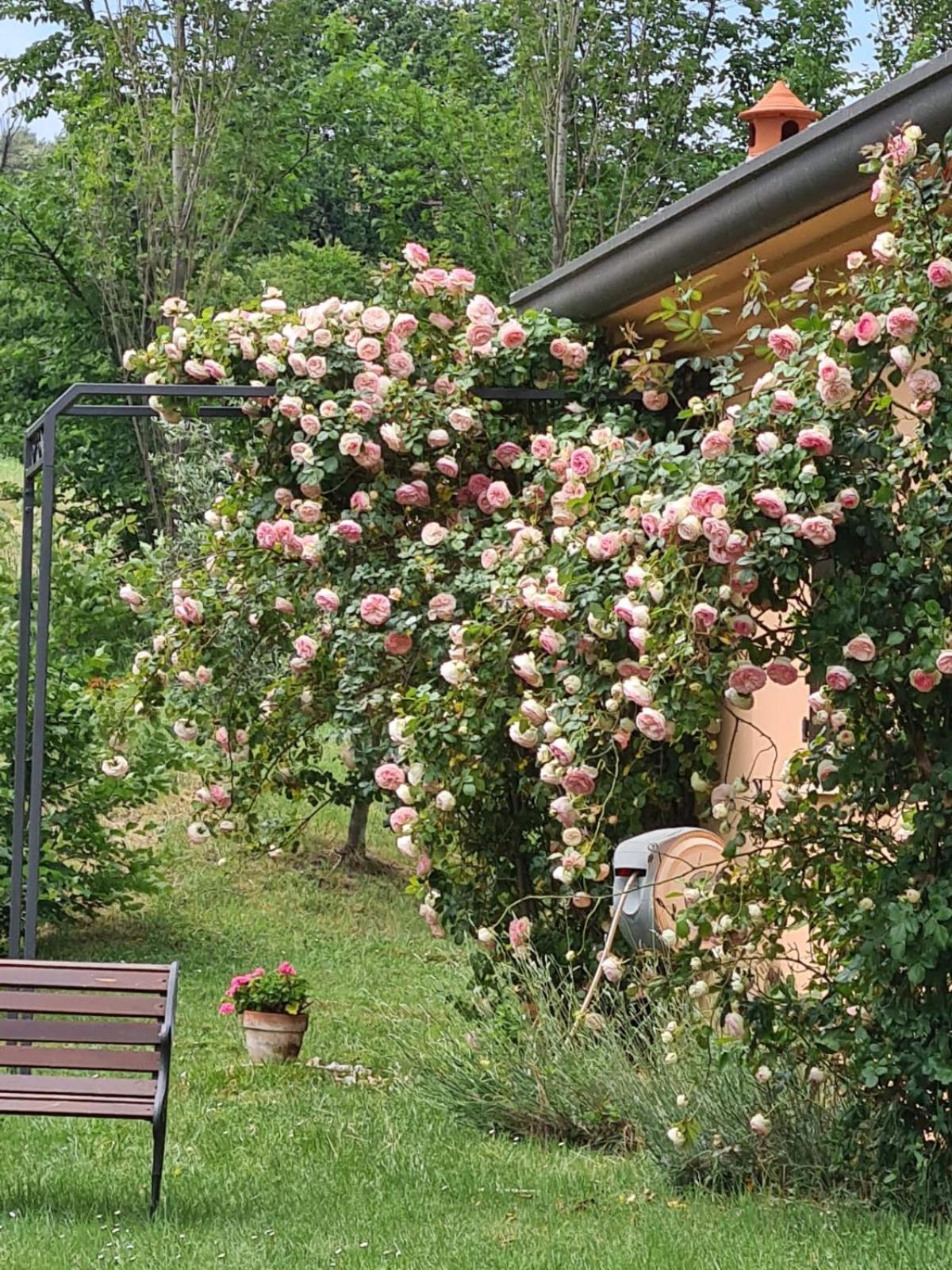 B&B Rosaverde Mulazzano エクステリア 写真